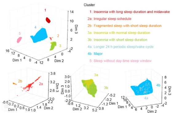 Classification Of 16 Adult Sleep Patterns Based On Large-scale Sleep Analysis