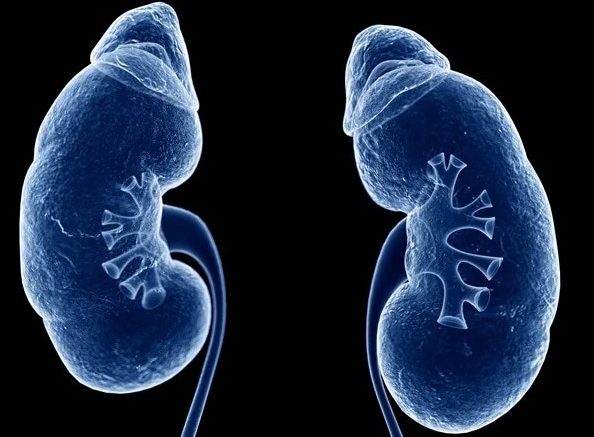 Study Shows Climate Change Will Lead To Increase In Kidney Stones